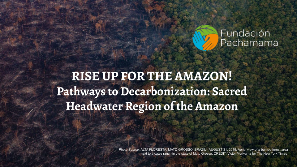 Rise up for the Amazon!